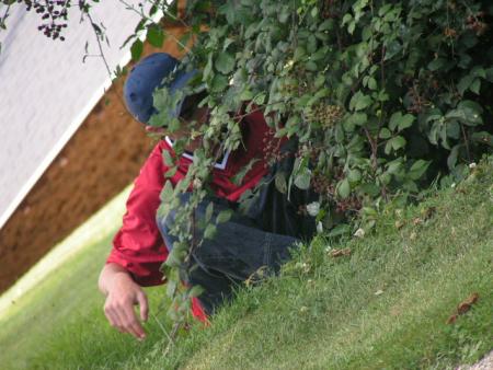 dedy qui cherche son balon